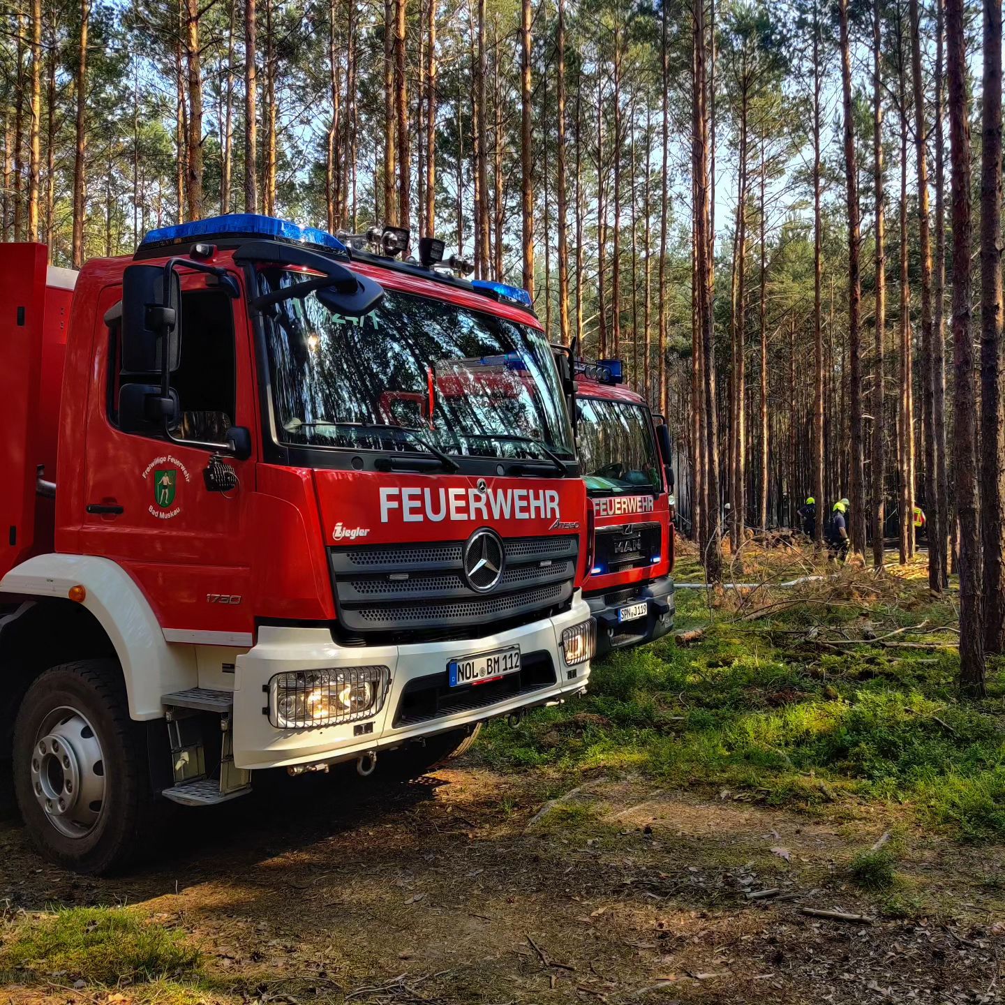 37 - Waldbrand Groß