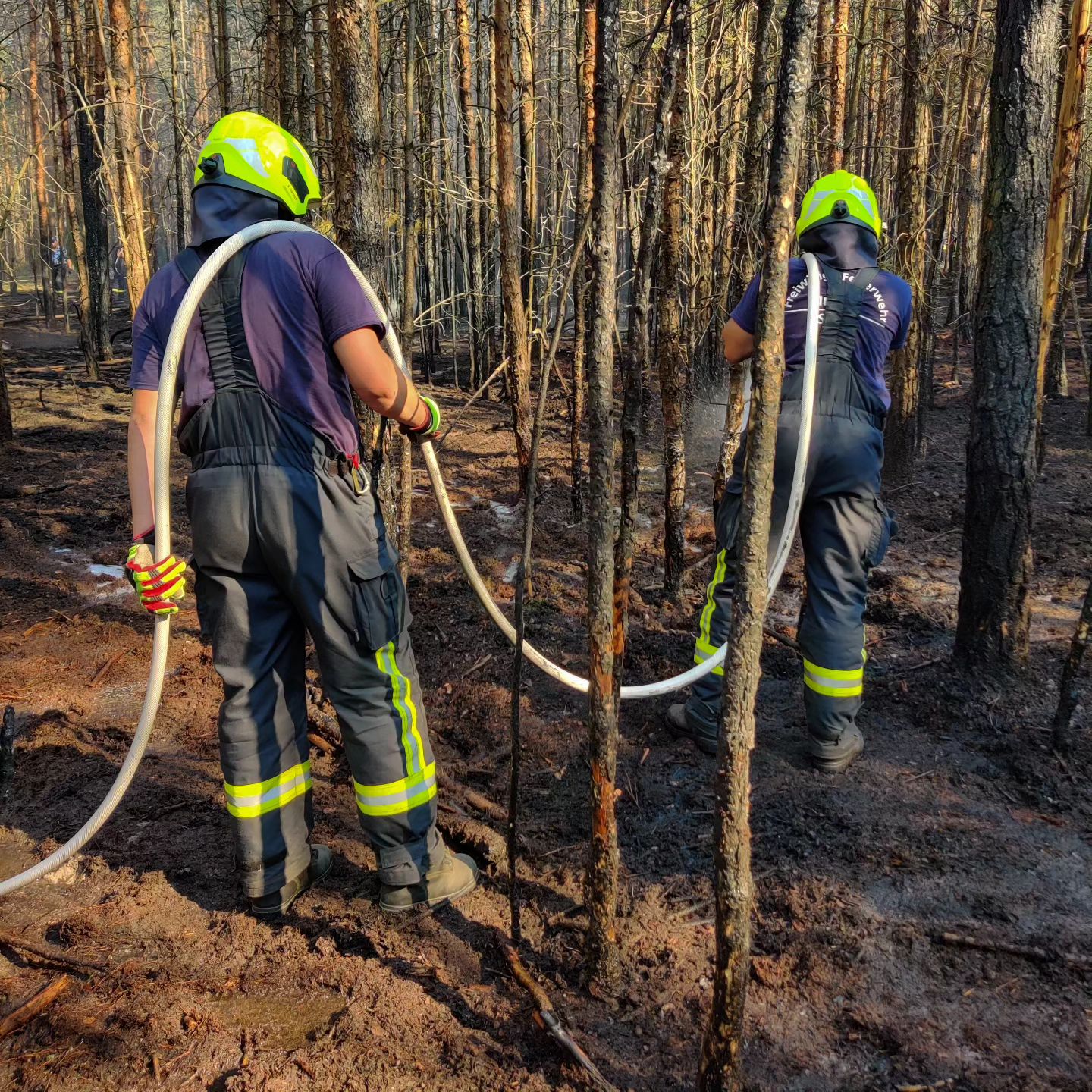 37 - Waldbrand Groß