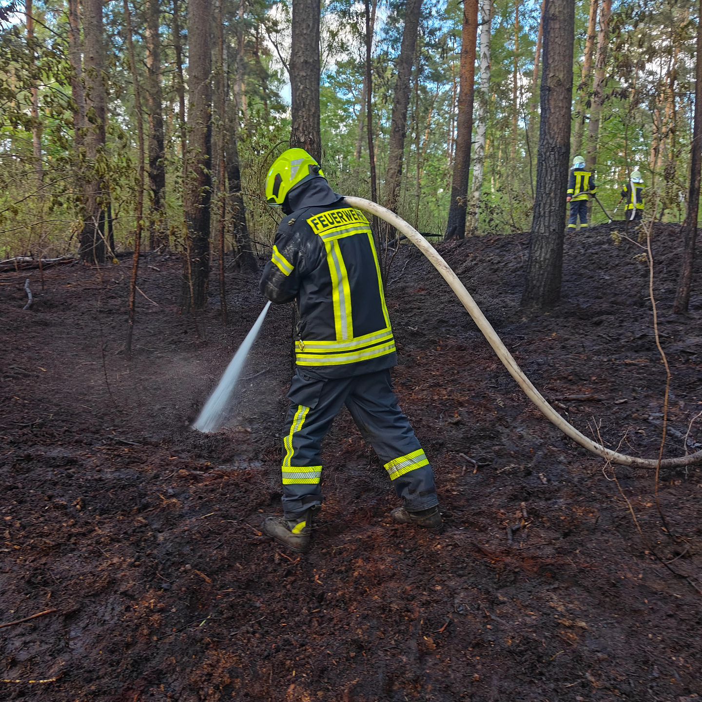 23 - Waldbrand Groß