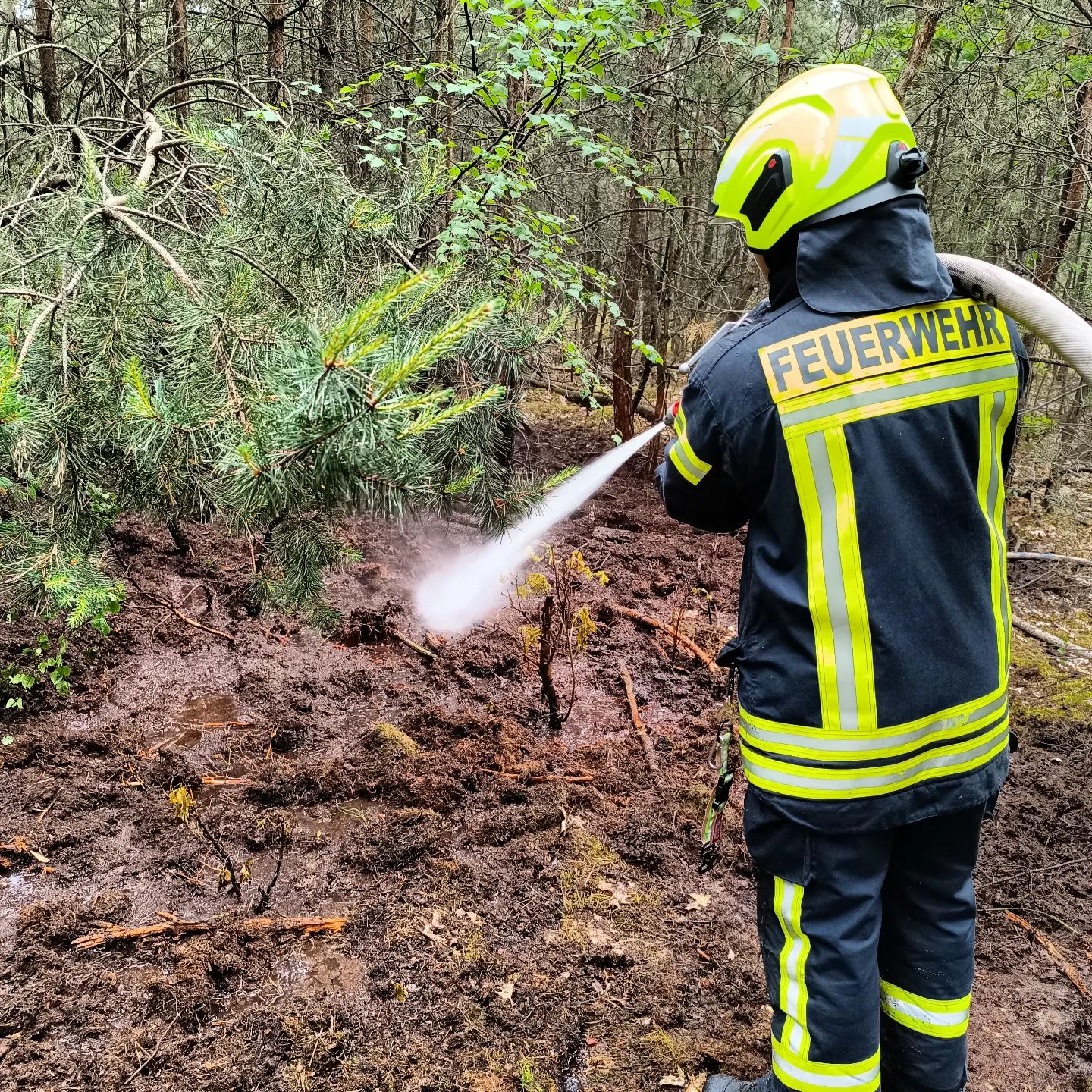 29 - Waldbrand Groß