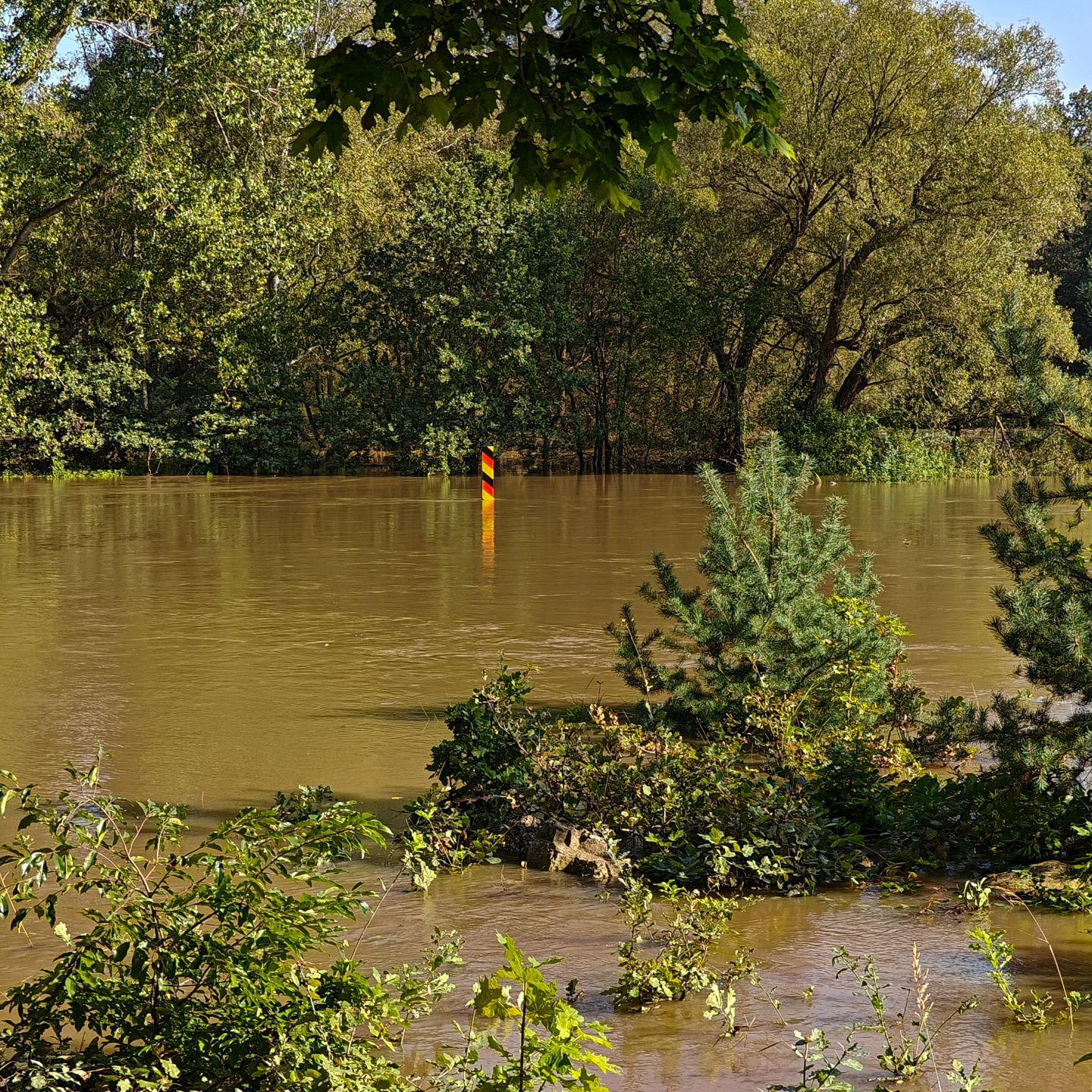 62 - 64 - H1 Hochwasserkontrollfahrt