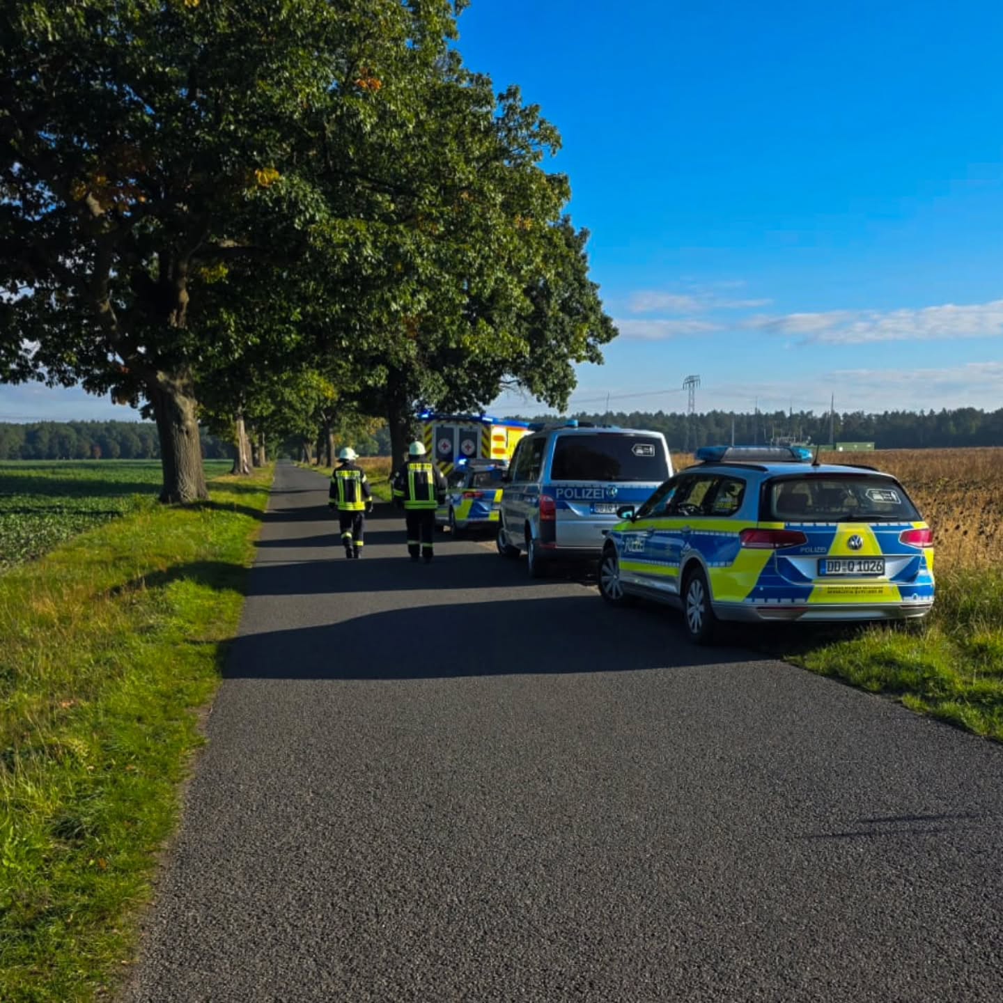 47 - H1 Unterstützung RD