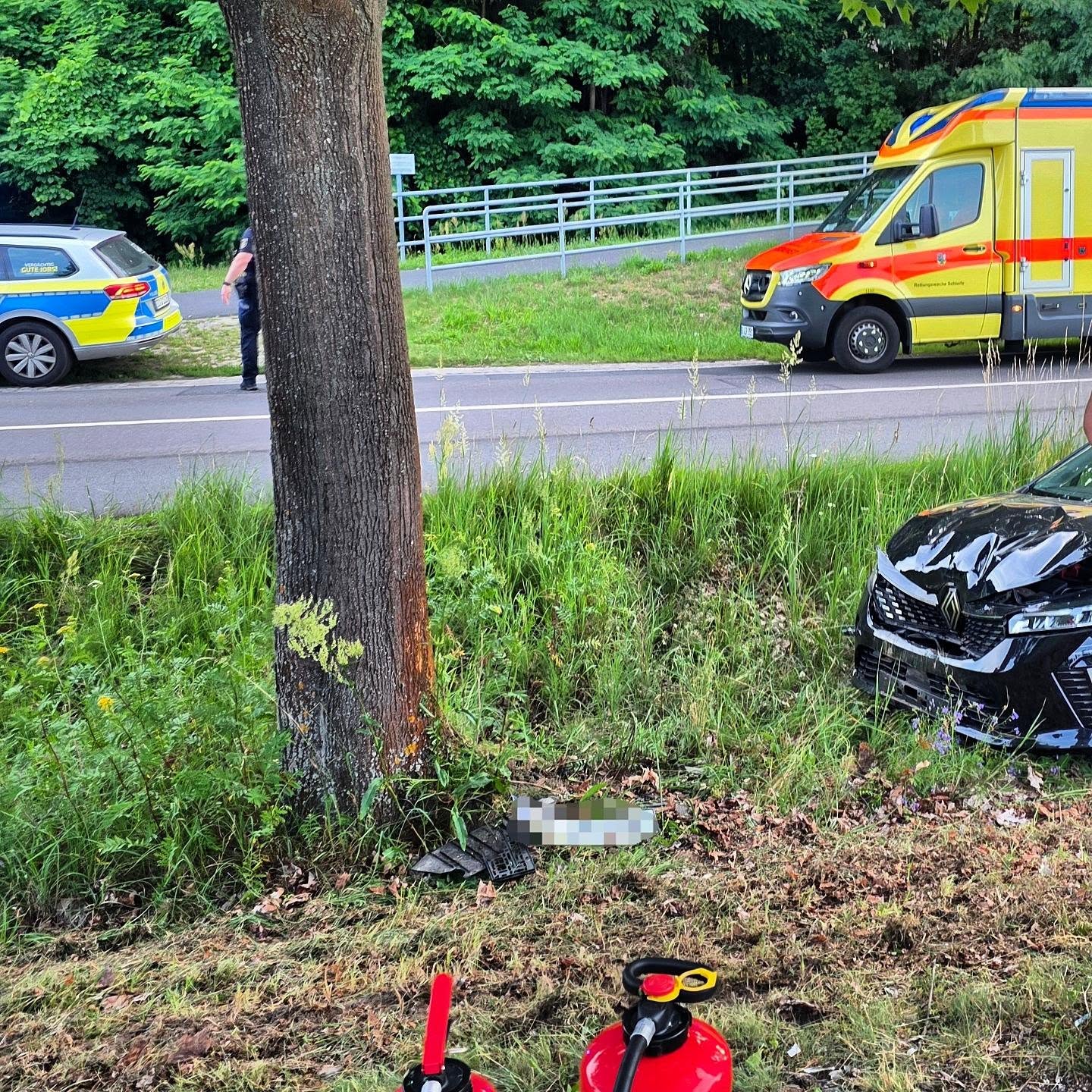 45 - H1 VKU PKW gegen Baum